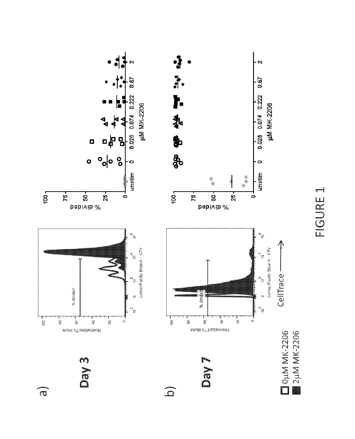 T cell compositions