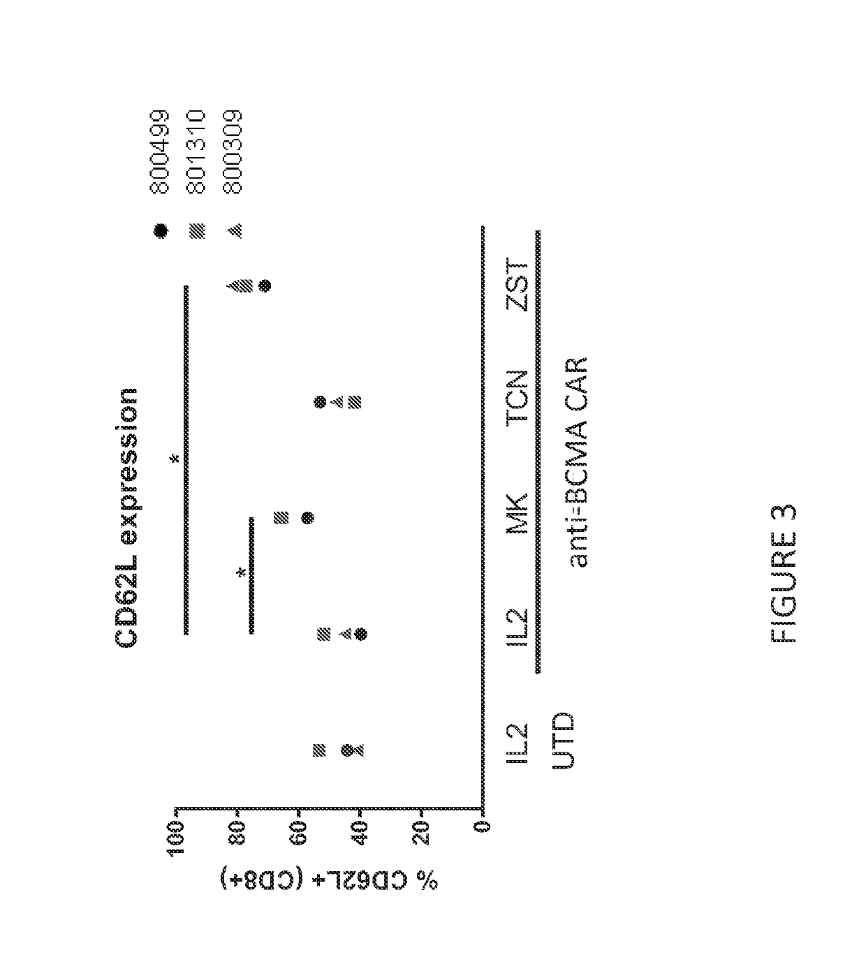 T cell compositions