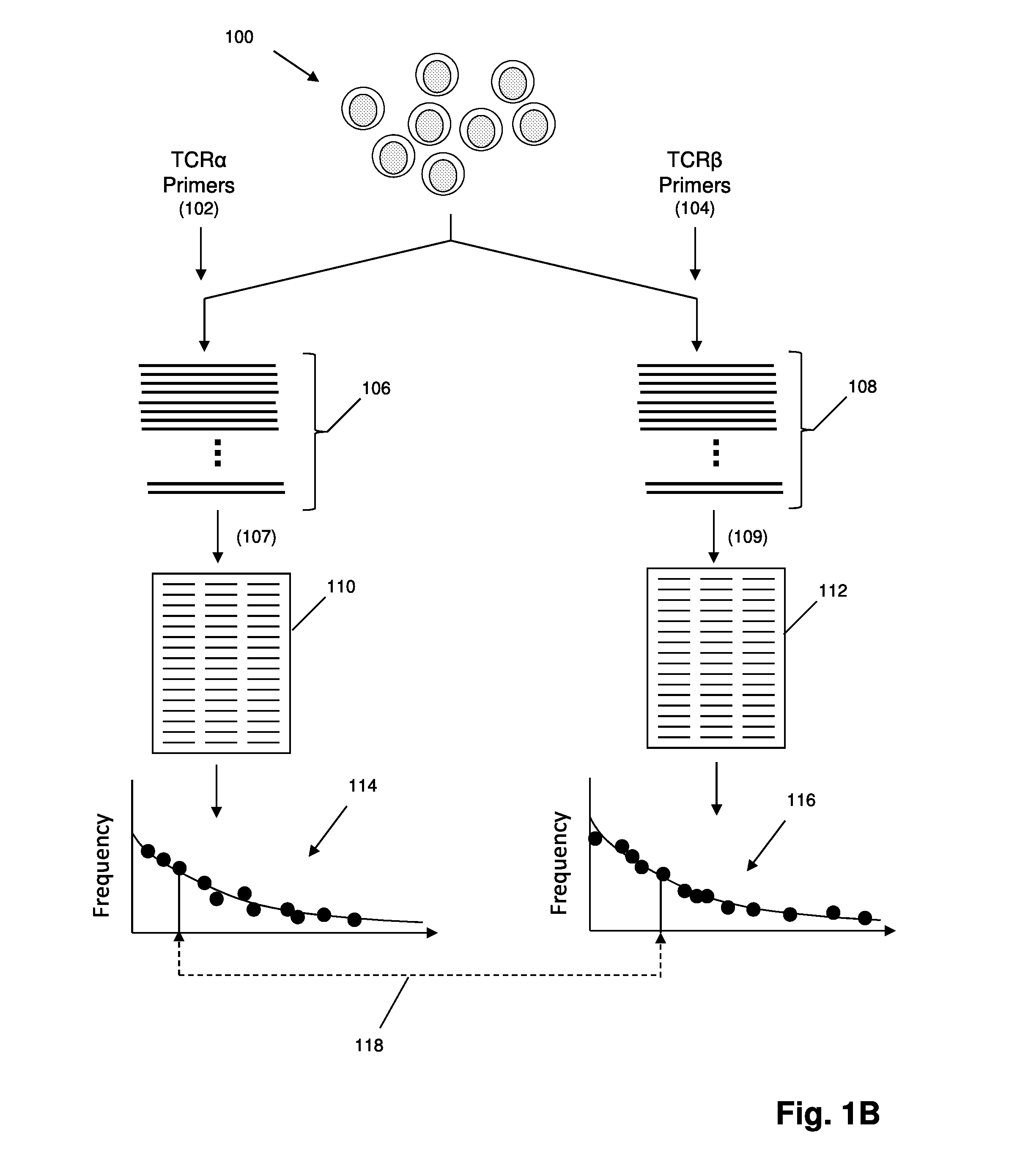 Cancer vaccination with antigen evolution