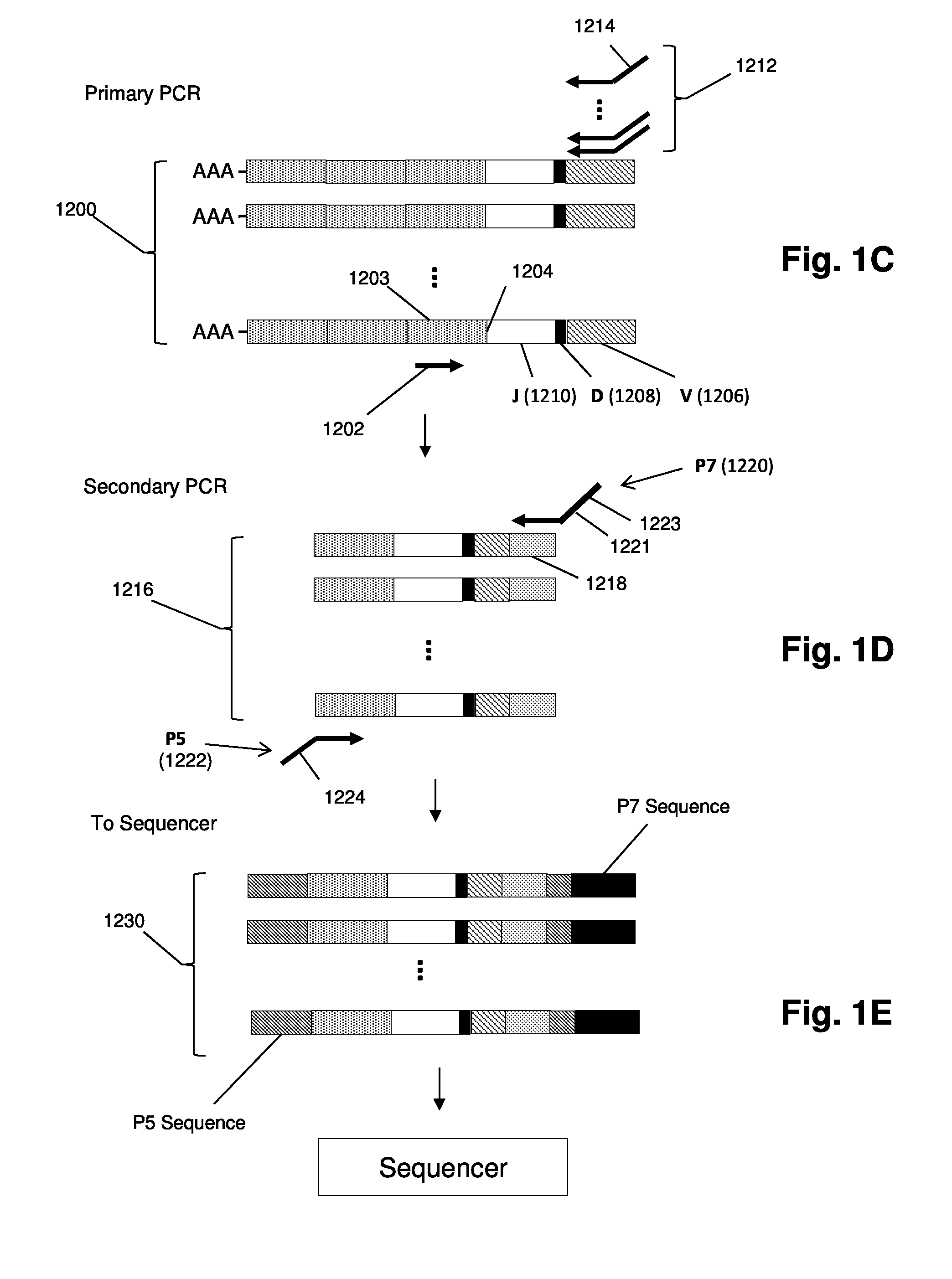 Cancer vaccination with antigen evolution