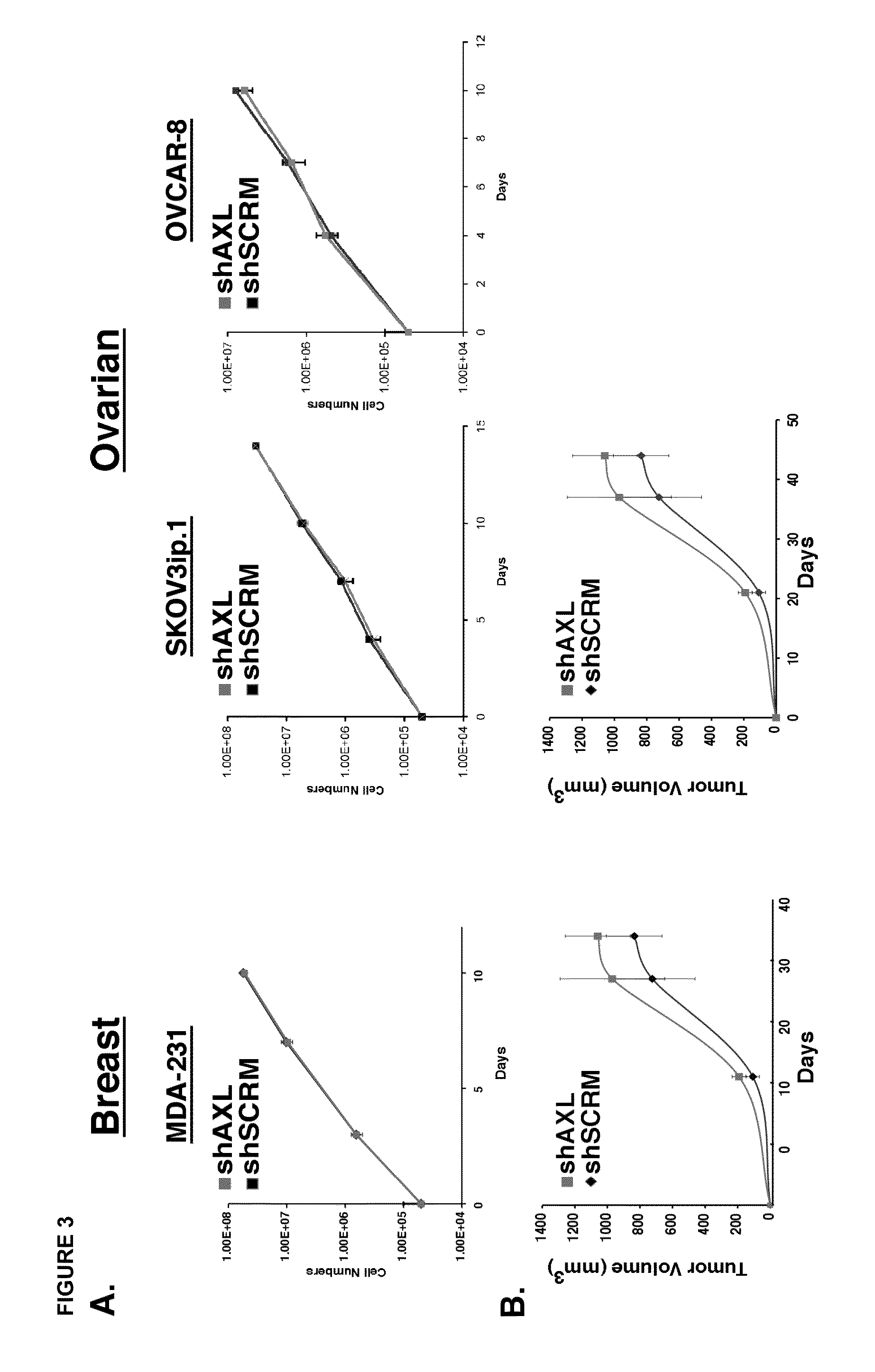 Inhibition of AXL signaling in anti-metastatic therapy