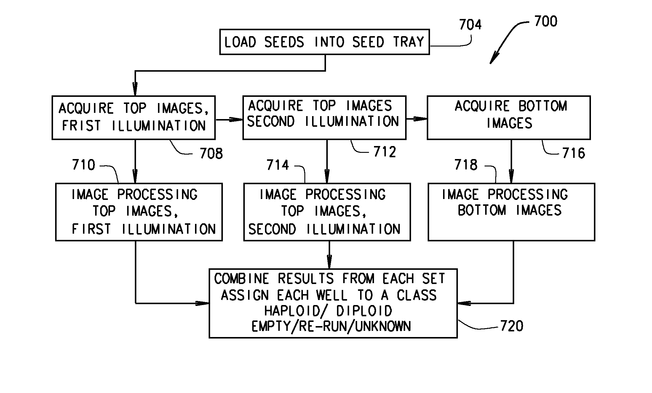 Seed sorter