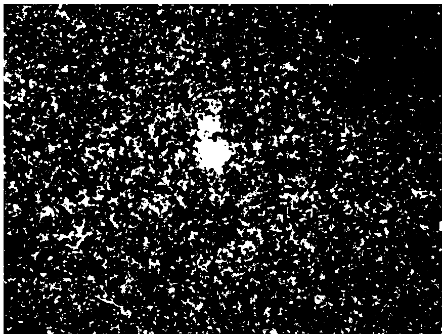 Anti-impact sound absorption material composition, anti-impact sound absorption board and preparation method thereof