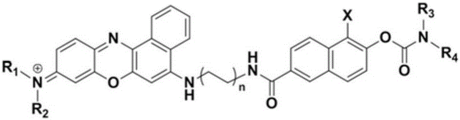 Fluorescence identification dye based on nile blue matrix and preparing method and application thereof