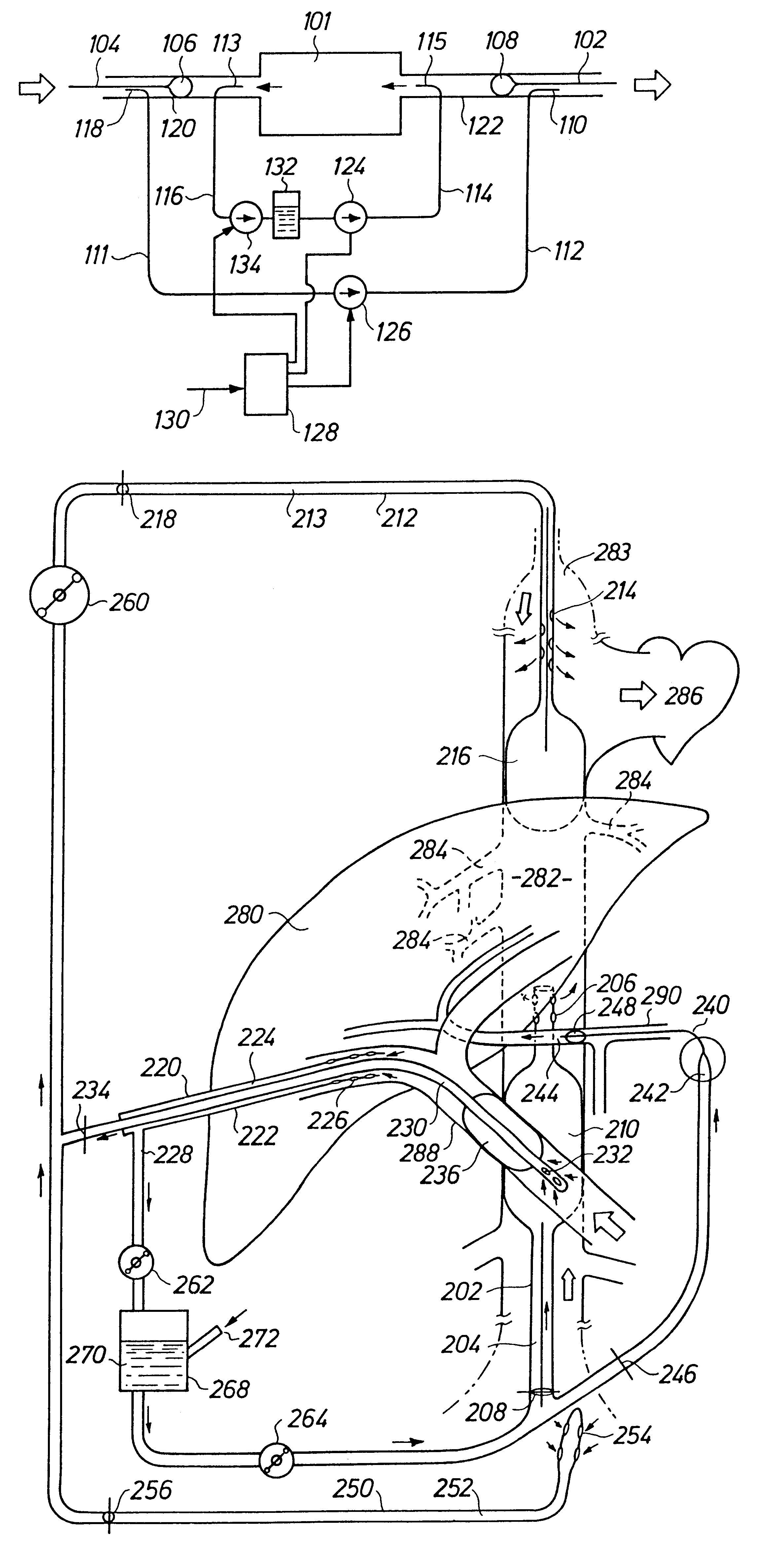 Perfusion system