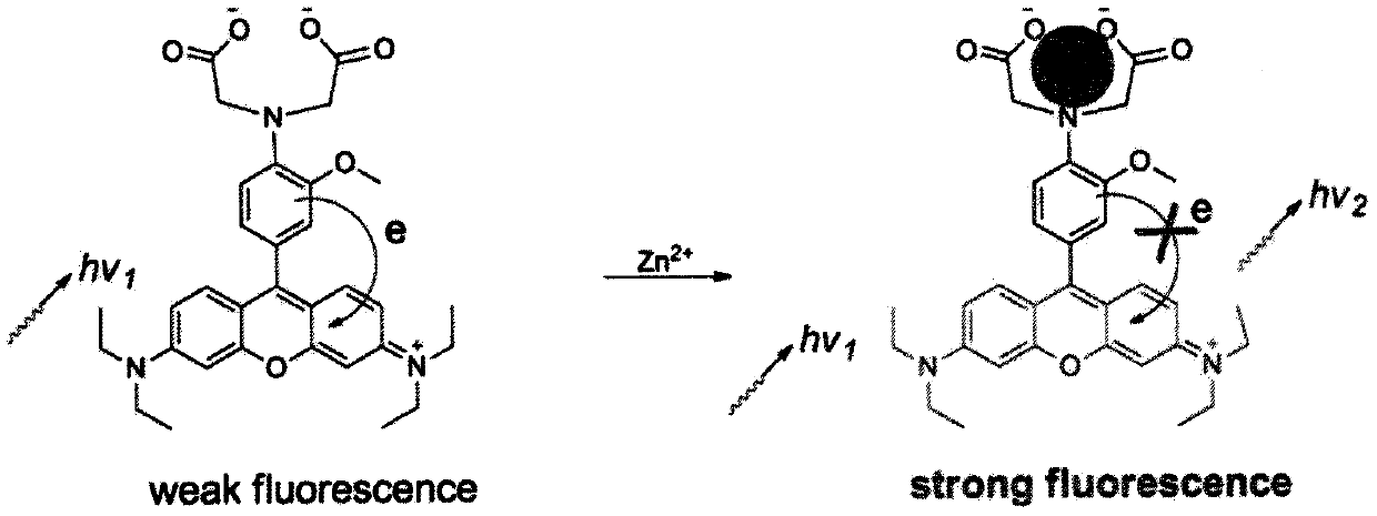 Fluorescent compound for detecting metal ion content in water, and applications thereof