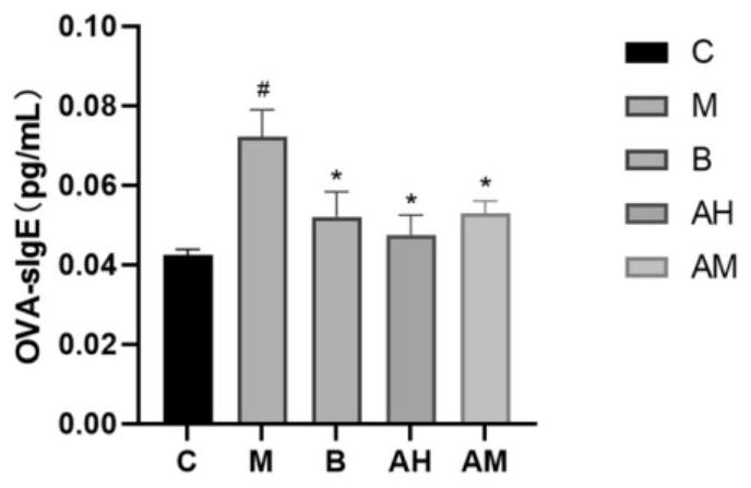 Application of blumea oil inclusion compound in preparation of medical spray for treating asthma