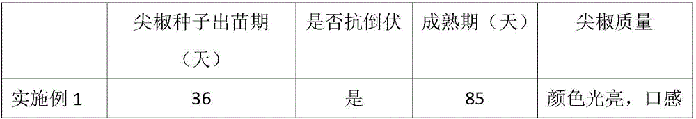 Method for promoting growth of chili peppers