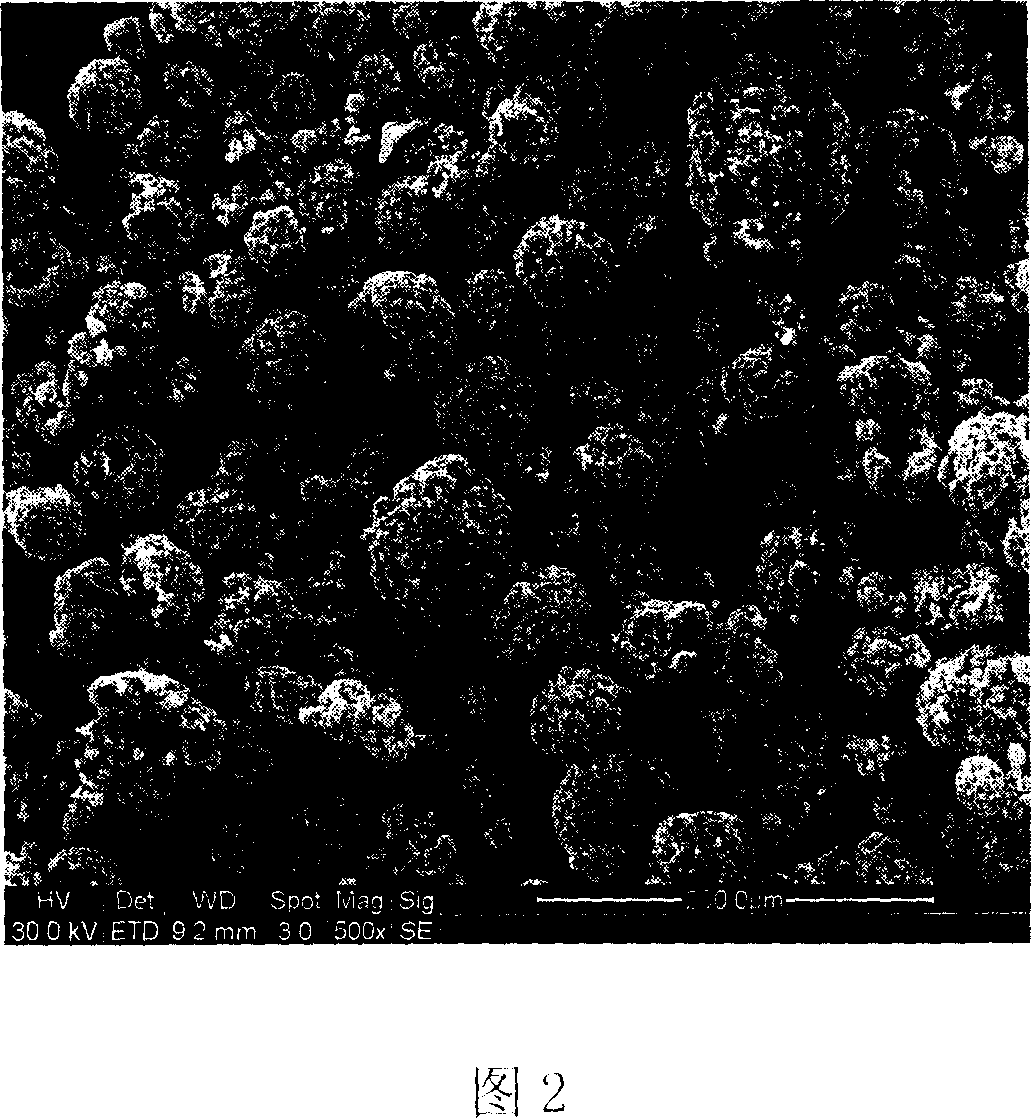 Preparation method of TiB2 nanometer micrometer structure feeding for hot spraying