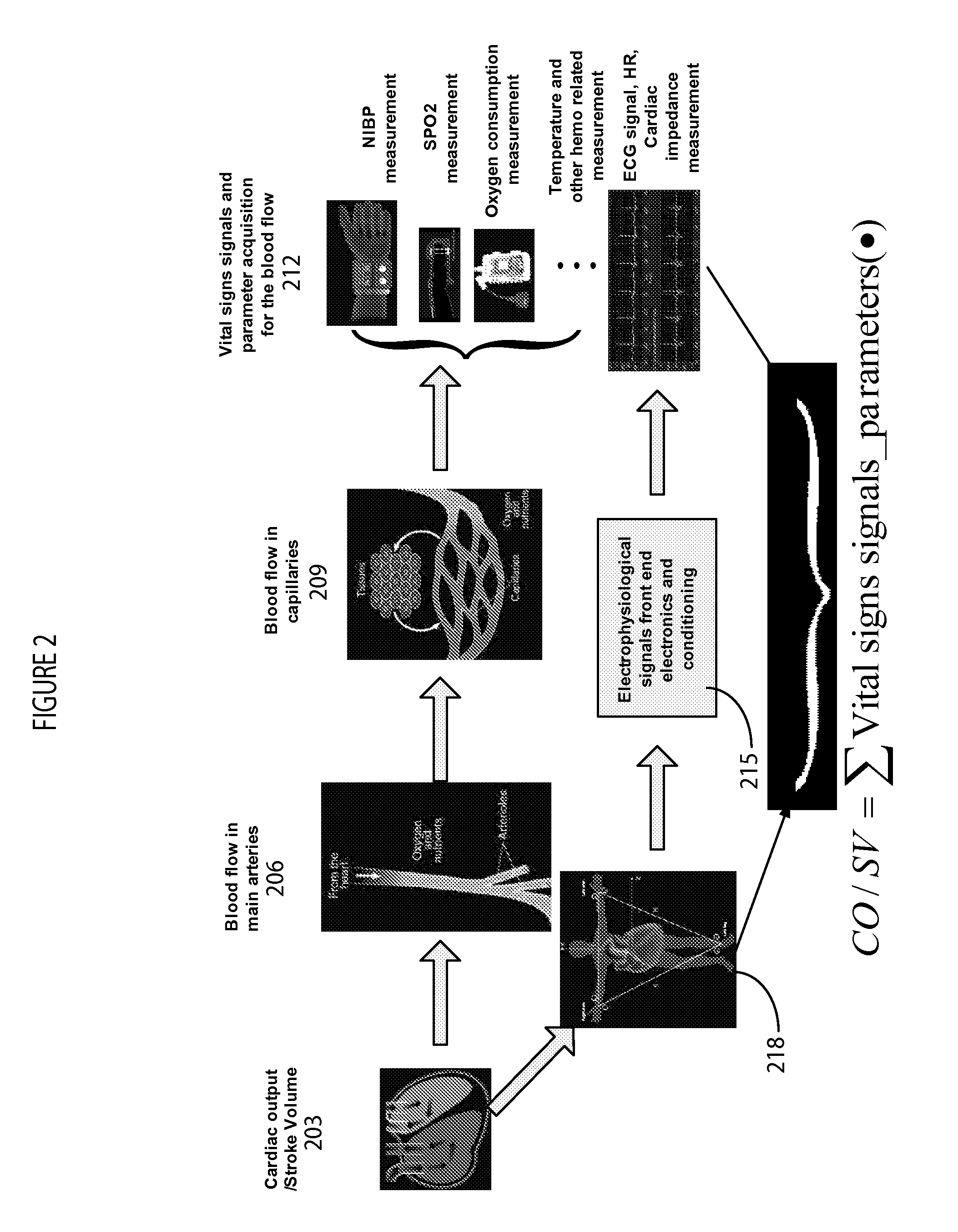 System for Non-invasive Cardiac Output Determination