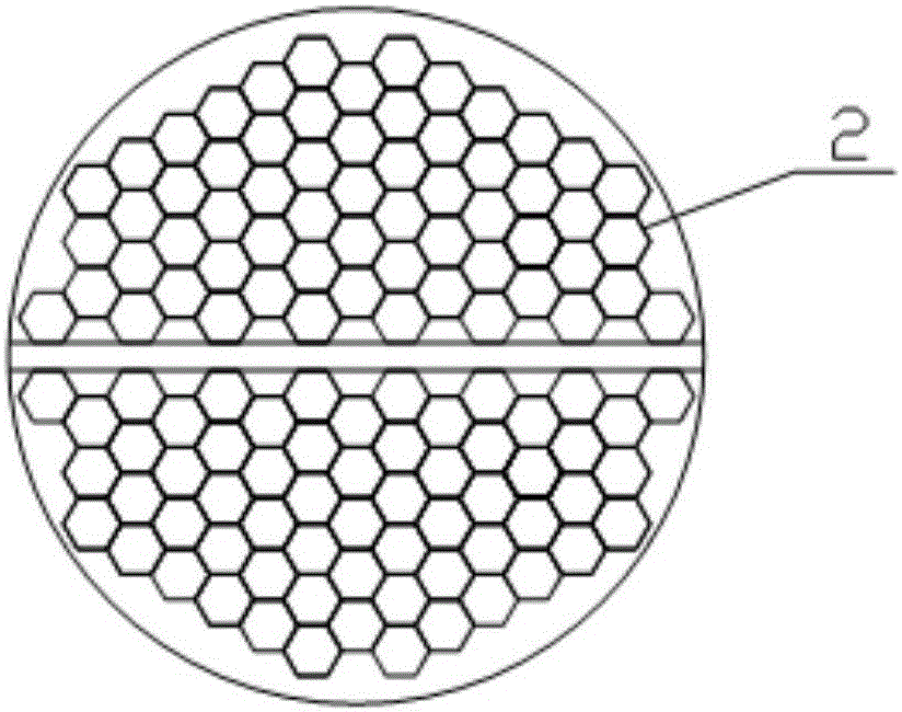 Wet type electric defogging device