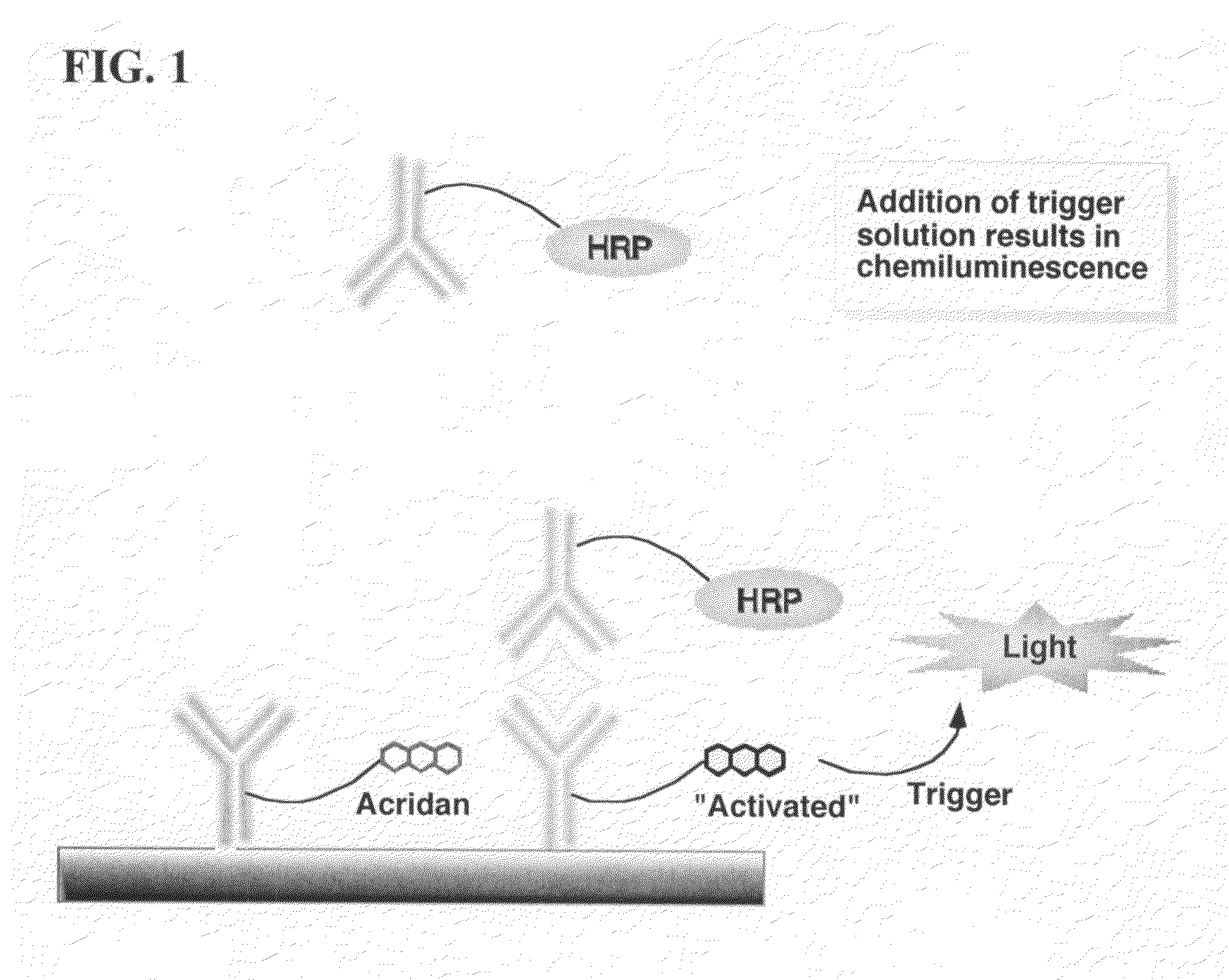 Nonseparation assay methods