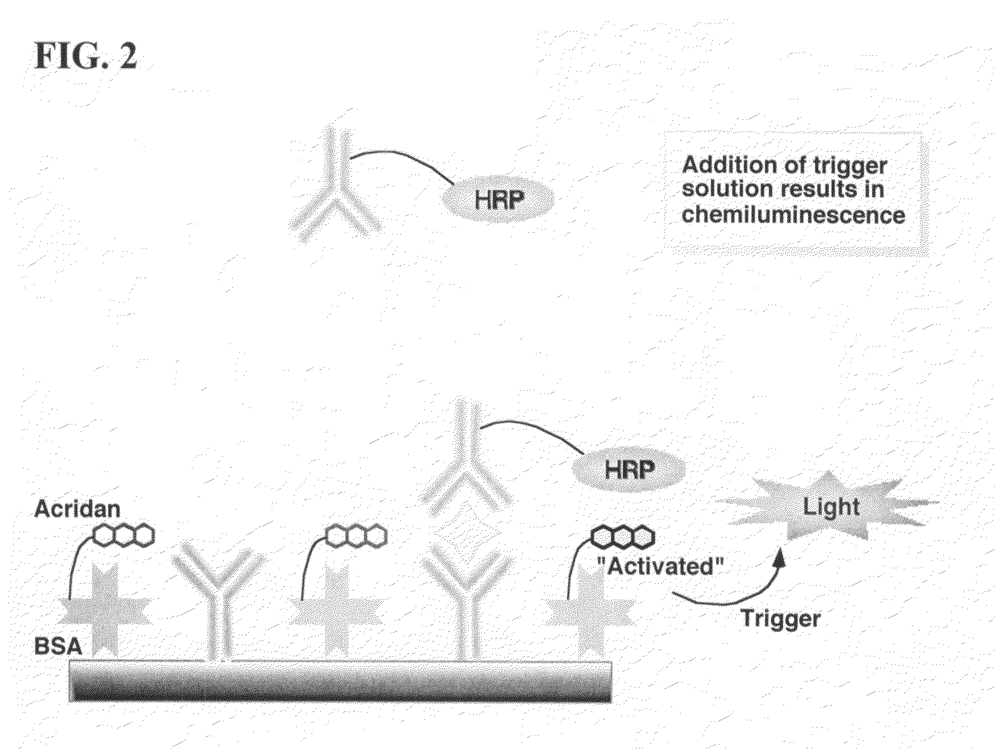 Nonseparation assay methods