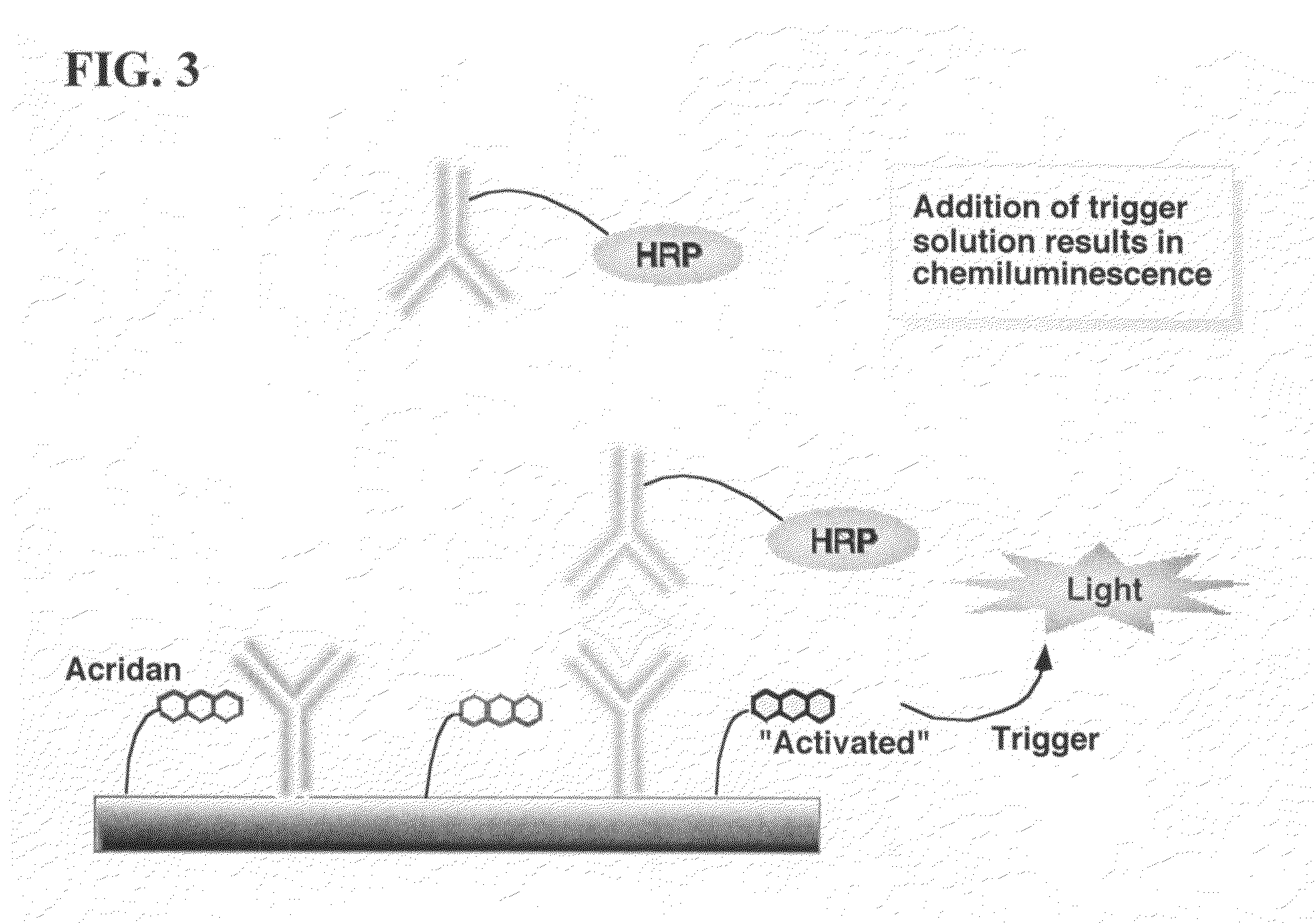 Nonseparation assay methods