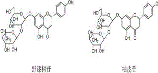 Method for preparing two chemical reference substances of Rhoifolin and naringin simultaneously