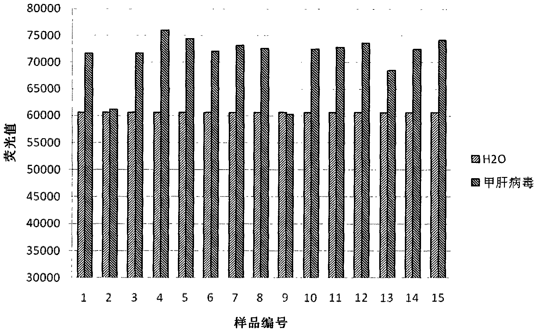 Molecular motor biosensor kit for detecting hepatitis A virus