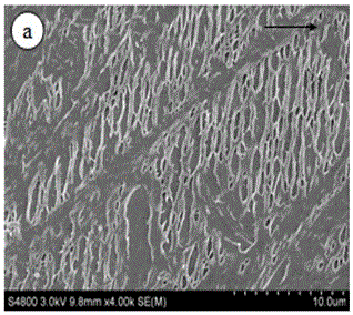 Full-biodegrade composite material taking oriented poly butylene succinate as nucleating agent and preparation method of full-biodegrade composite material