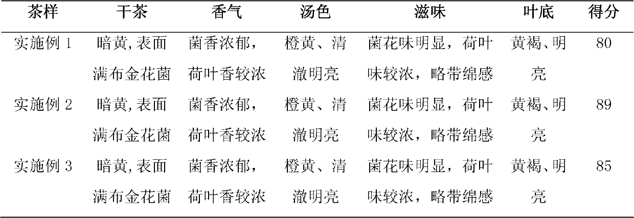 Lotus leaf eurotium cristatum tea and preparation method thereof