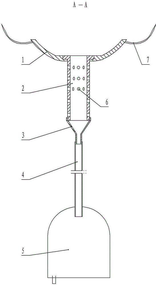 Penis postoperative care device