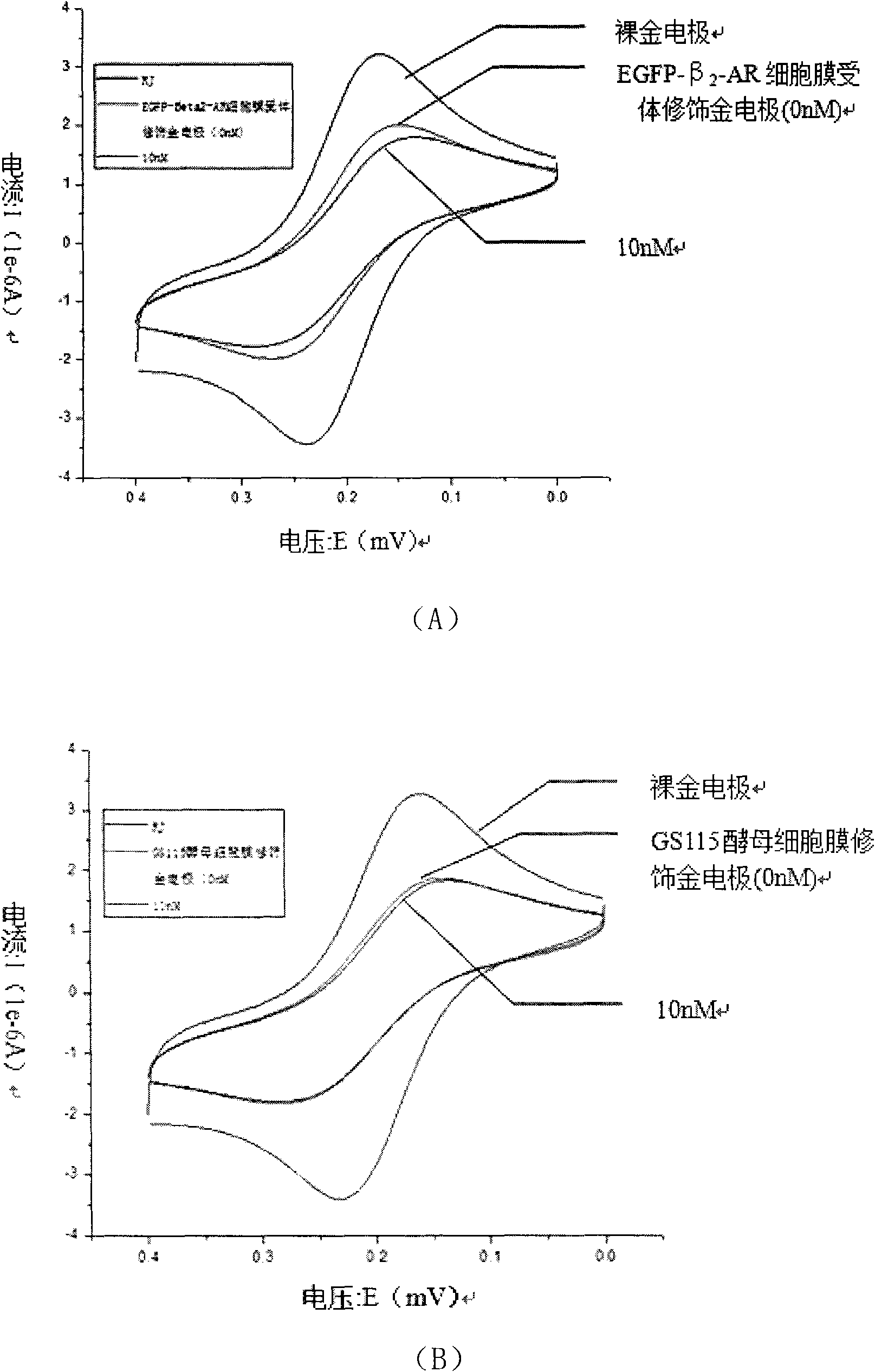 Electrochemical receptor biosensor and application thereof