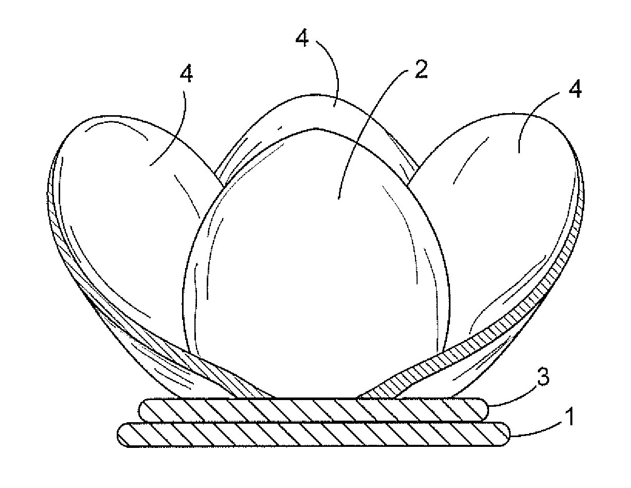 Assembly of chocolate coated edible material depicting floras replicas