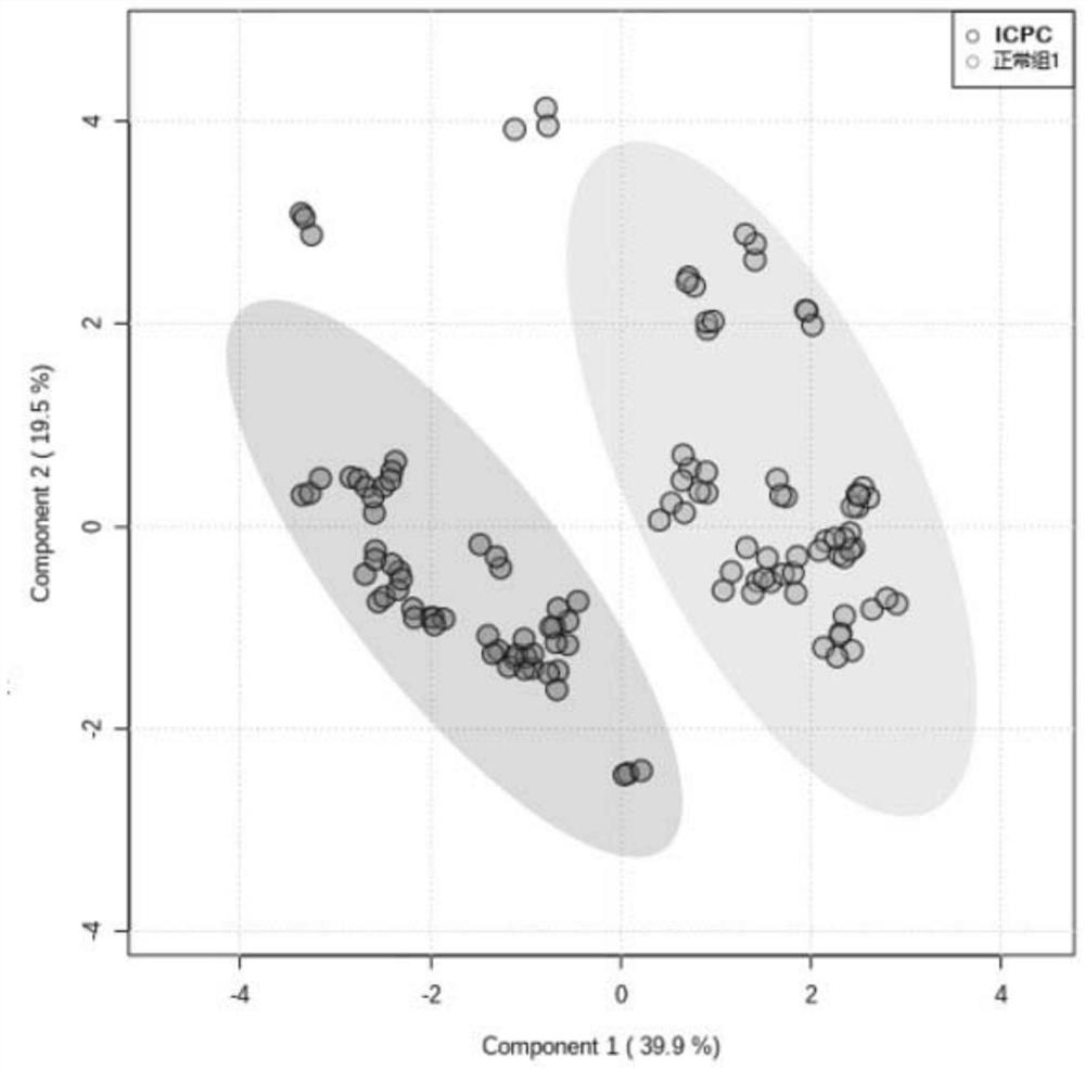 Application of amino acid composition to medicine for treating fetal nervous system development diseases