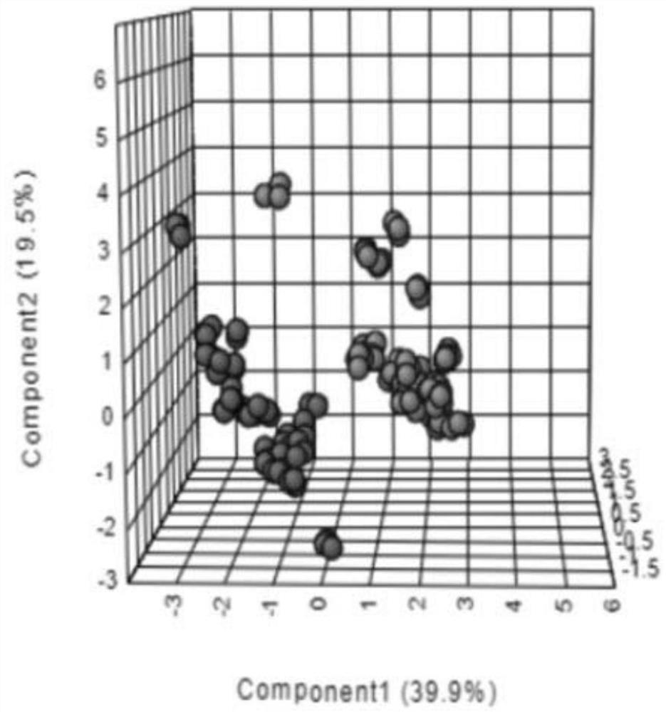 Application of amino acid composition to medicine for treating fetal nervous system development diseases