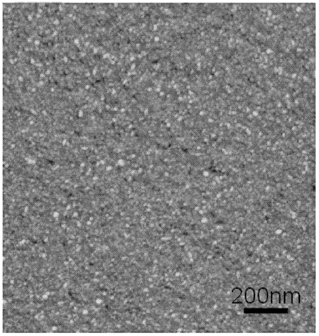 Preparation method of nano hydroxyapatite