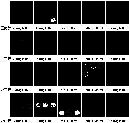 Method for identifying white spirit flavor type by using electronic tongue system