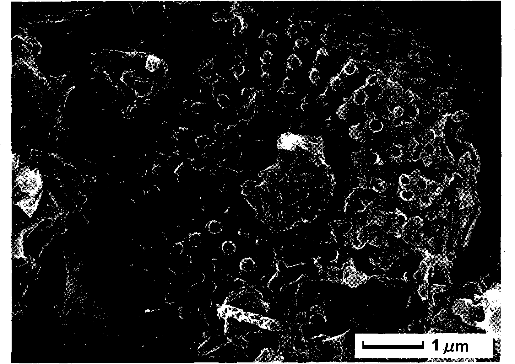 Method for preparing porous carbon and white carbon black by using diatomite