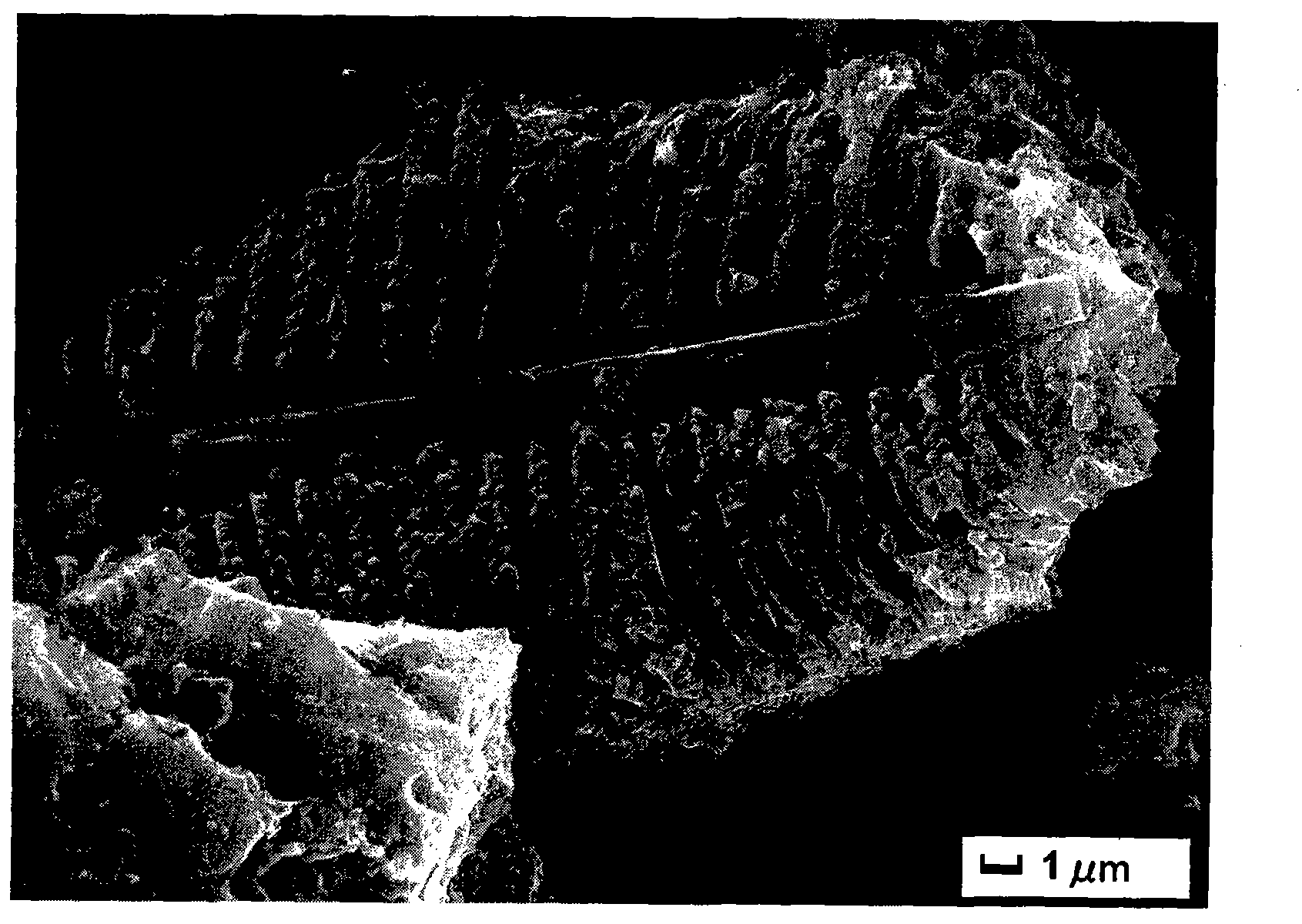 Method for preparing porous carbon and white carbon black by using diatomite