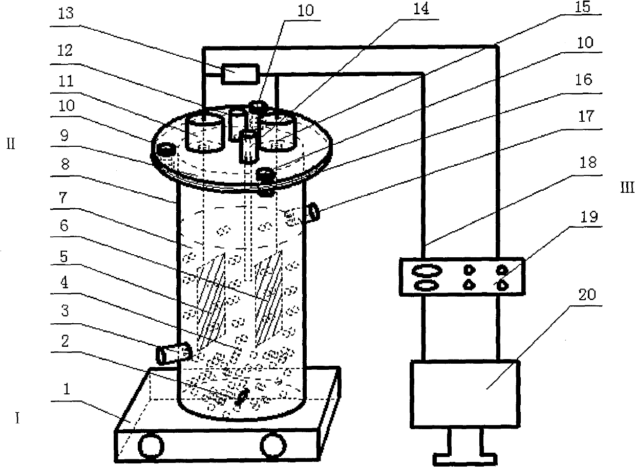 Anaerobic ammonia oxidation microbiological fuel cell