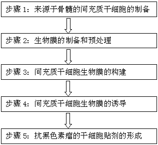 A kind of anti-melanoma stem cell patch and preparation method thereof