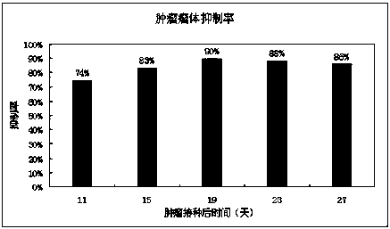 A kind of anti-melanoma stem cell patch and preparation method thereof