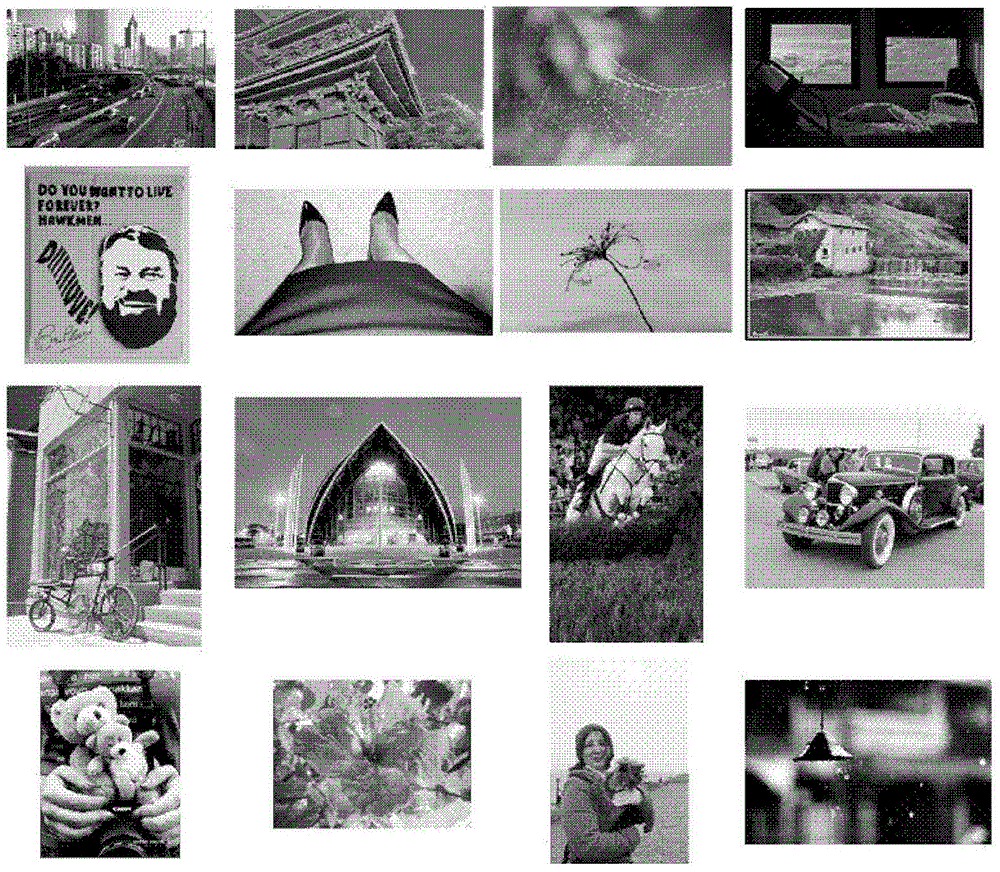 Large-scale image library retrieval method based on self-adaptive bit allocation Hash algorithm