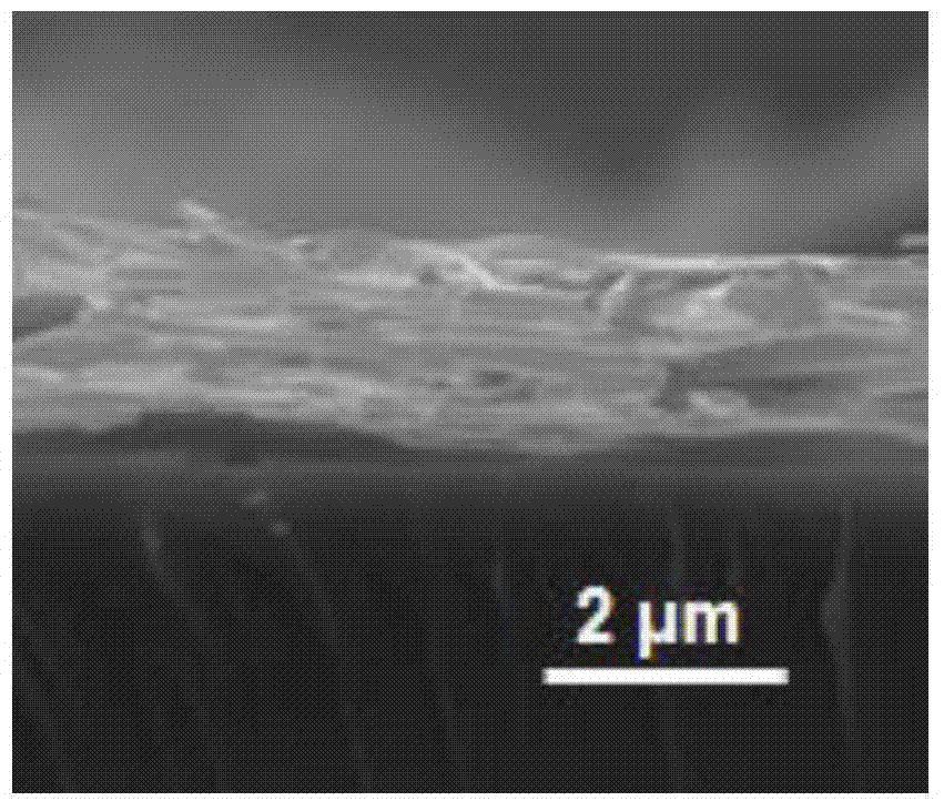 Underwater transparent silicon dioxide nanofiber substrate as well as preparation method of substrate and application of substrate to capture of circulating tumor cells