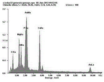 Preparation method of magnesium alloy surface micro-arc oxidation-electrophoresis composite coating