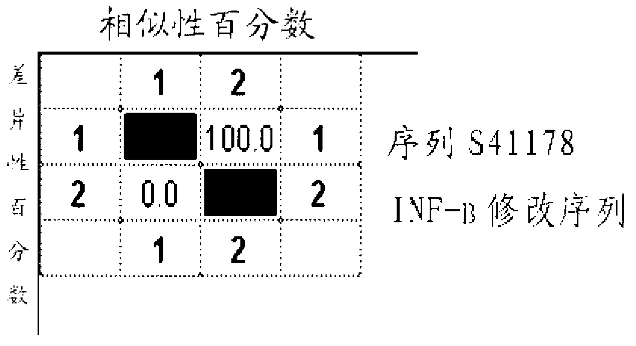 Gene segment for coding porcine interferon-gamma and application of gene segment