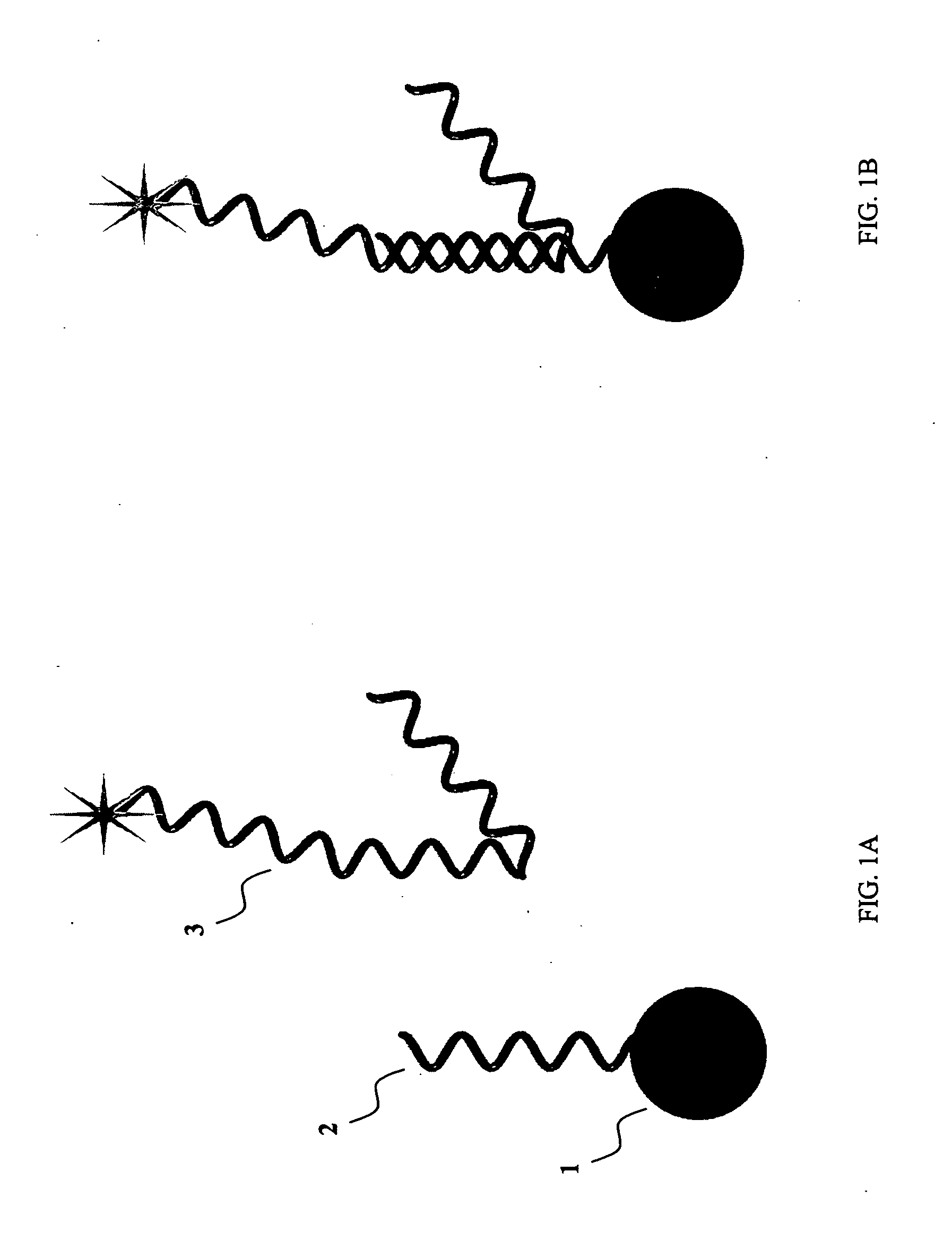 System and method for inhibiting the decryption of a nucleic acid probe sequence used for the detection of a specific nucleic acid