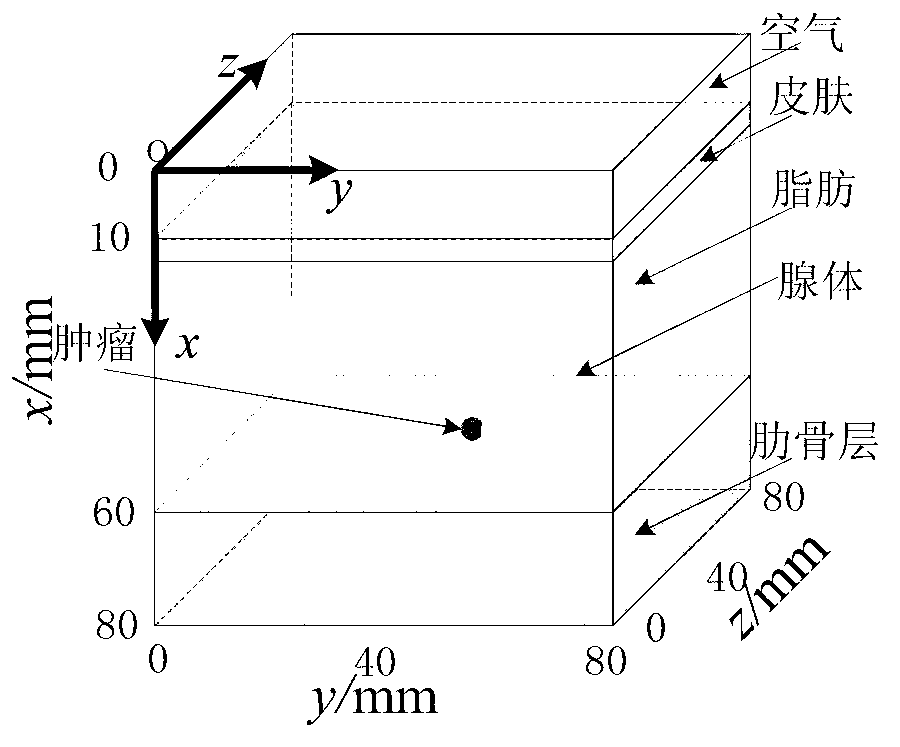 Imaging method for early breast tumor ultra wide band microwave detection