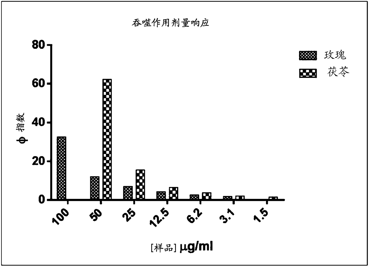 Composition and method for synergistic enhancement of immune system