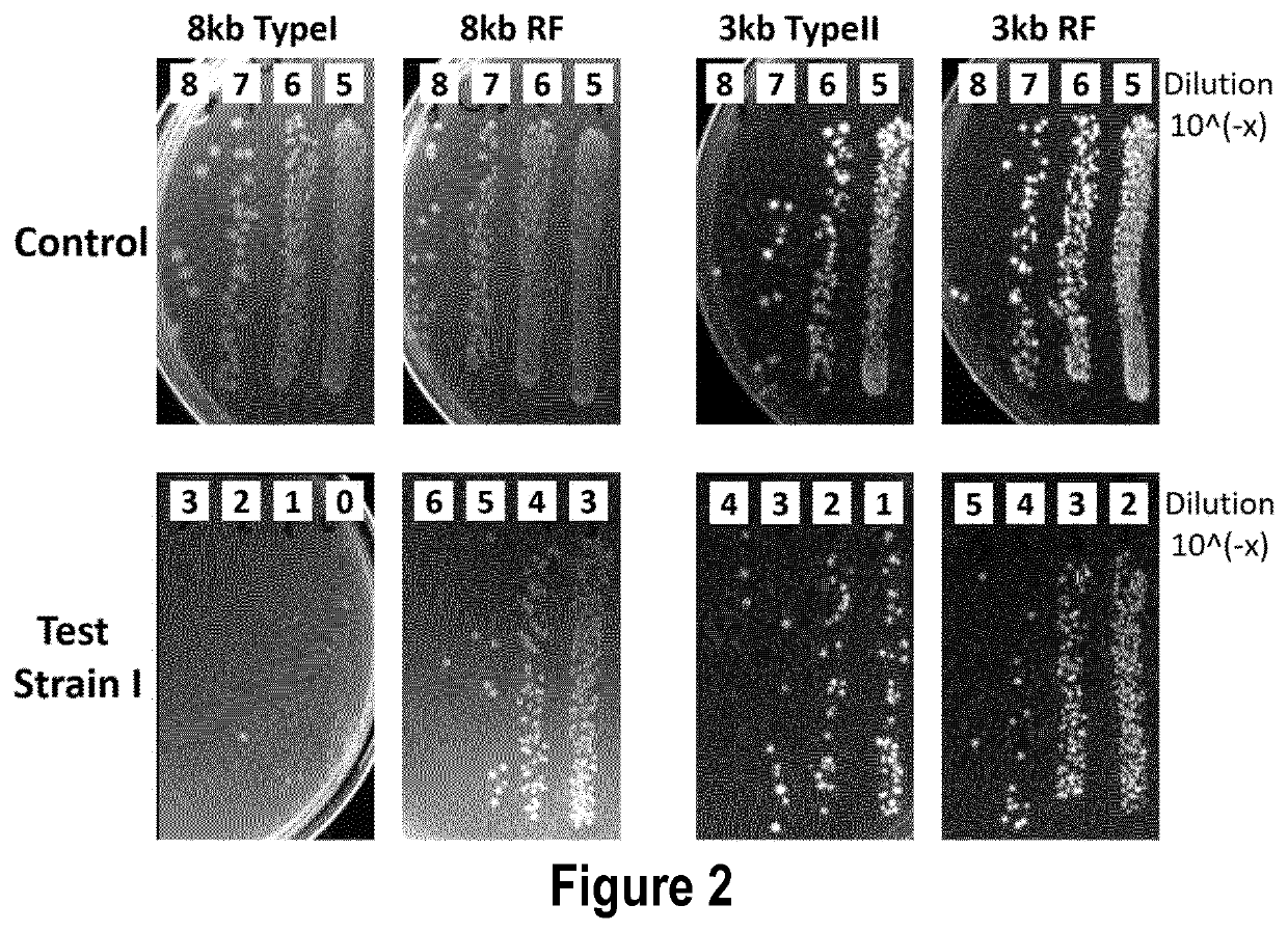 Optimized vector for delivery in microbial populations