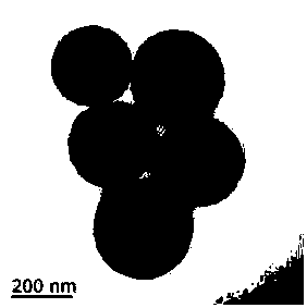 Preparation method for petal-shaped molybdenum disulfide hollow mesoporous carbon sphere by in-situ growth