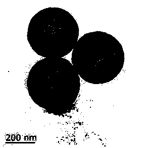 Preparation method for petal-shaped molybdenum disulfide hollow mesoporous carbon sphere by in-situ growth