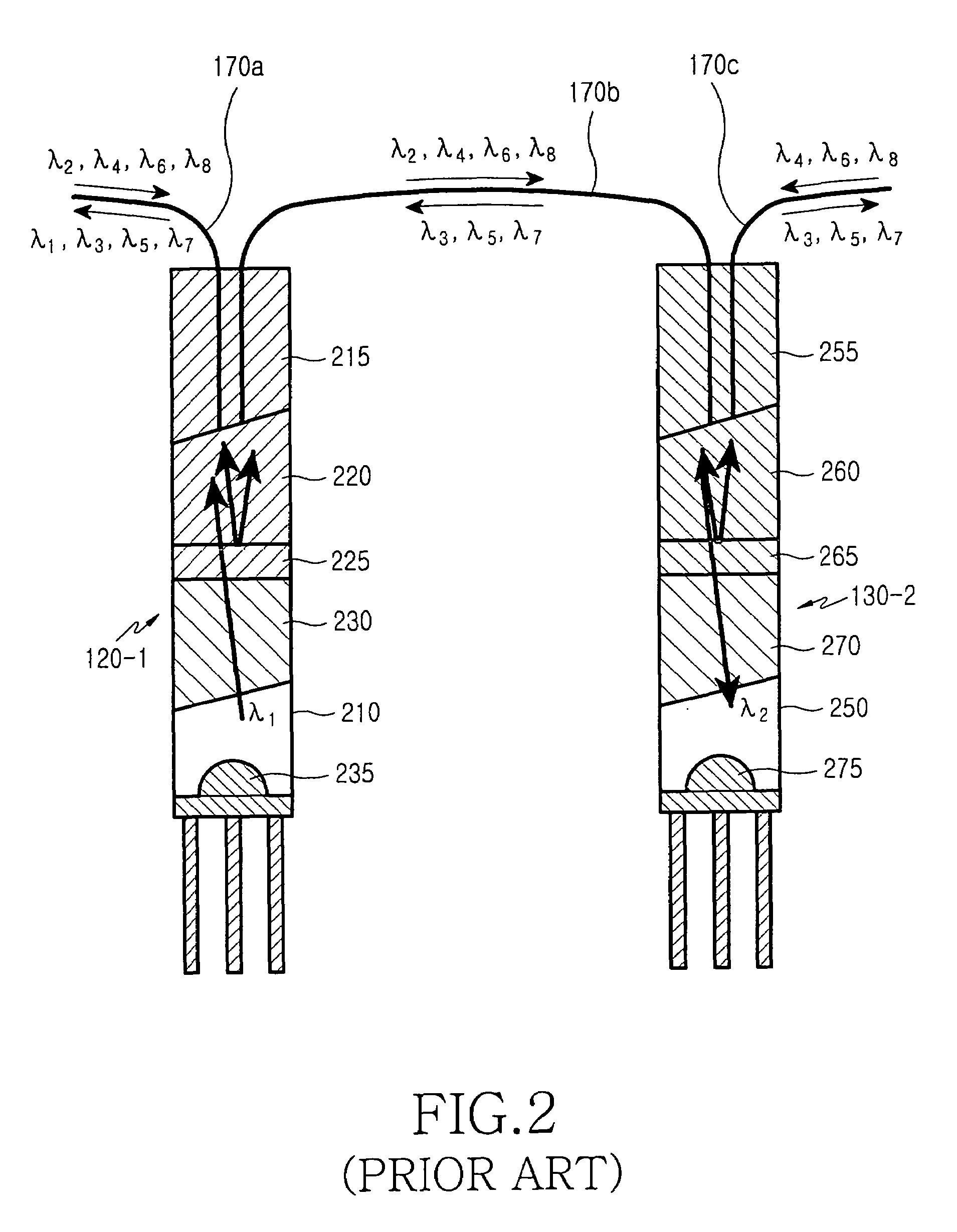 Remote antenna unit and wavelength division multiplexing radio-over-fiber network