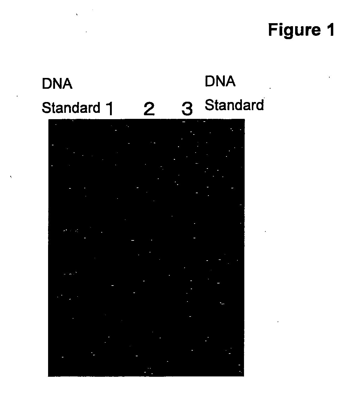 Methods for stably retaining foreign genes in cells