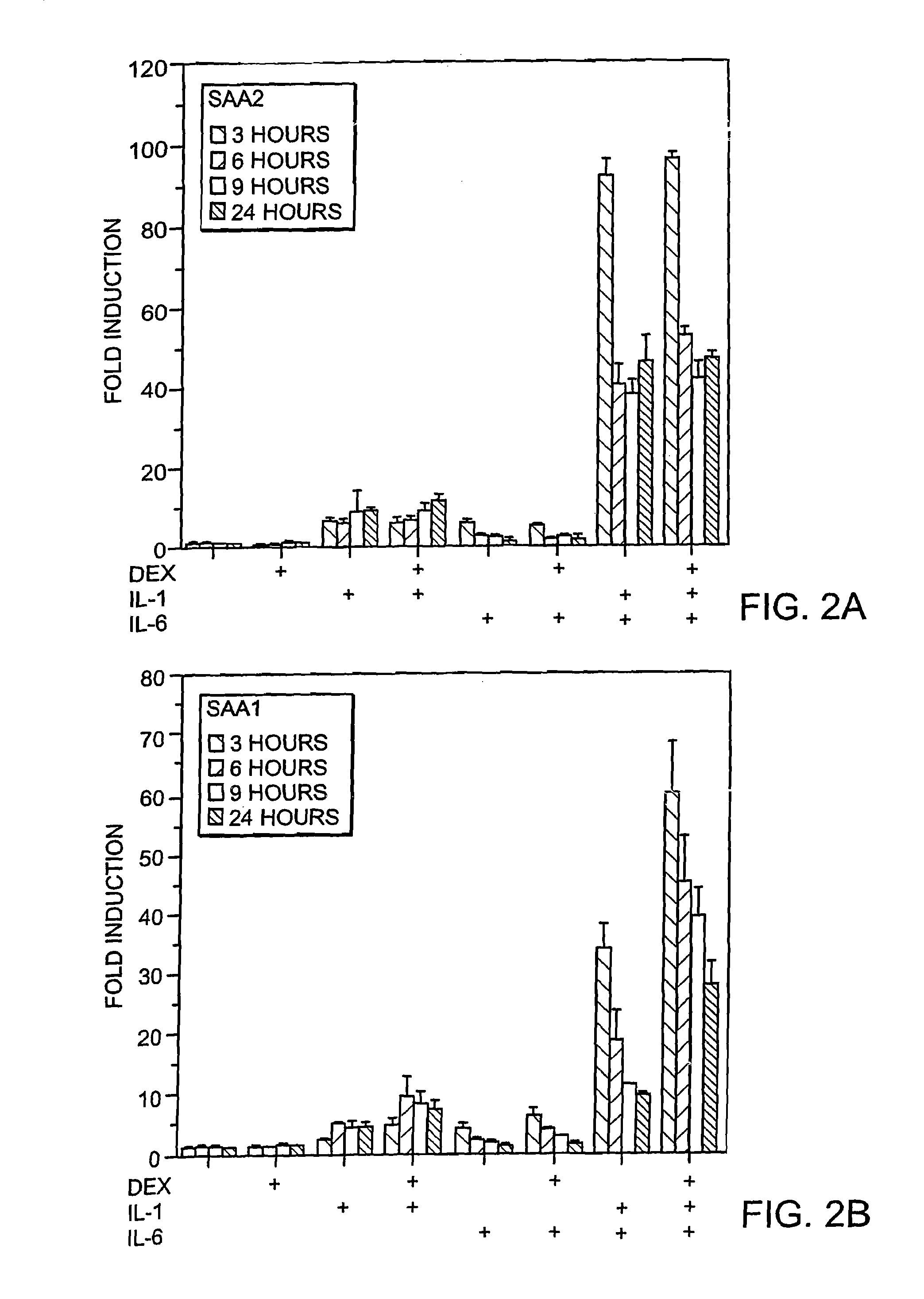 Methods for determining drug responsiveness