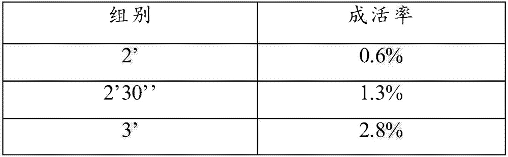 Method for culturing full-male cross pelteobagrus fulvidraco