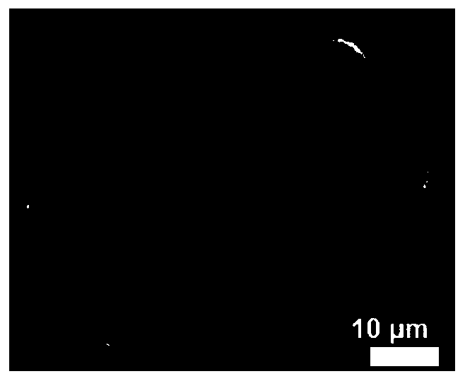 Method for preparing single crystal or amorphous substance by utilizing solution freezing