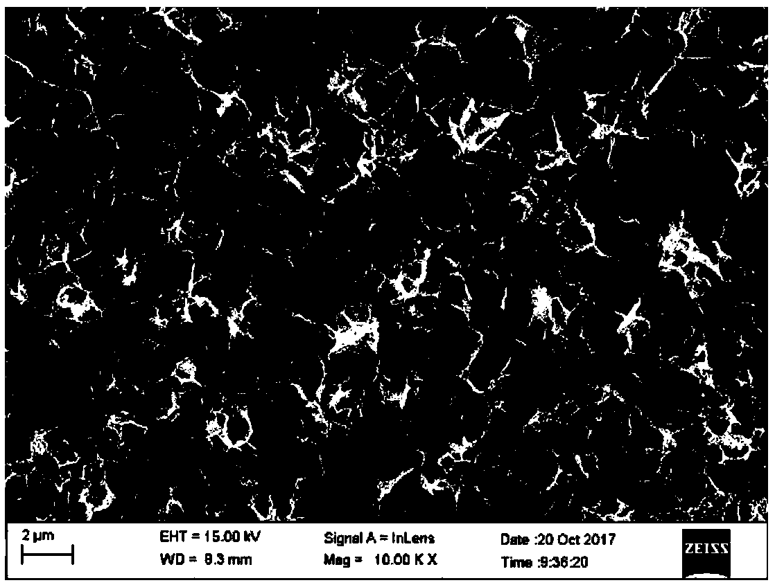 A binder-free conductive agent-free lithium carbon dioxide battery electrode sheet and preparation method thereof